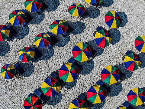 Many Rows of Umbrellas
