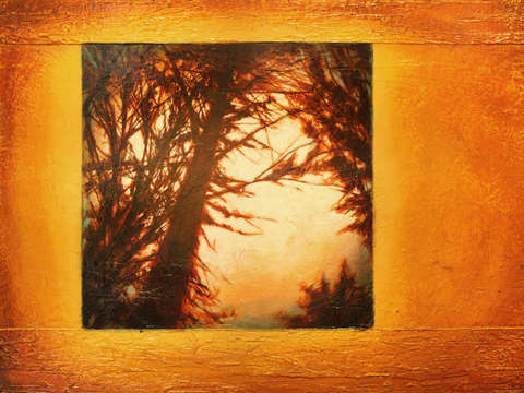 Port-orchard-trees-ii