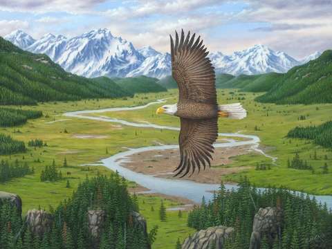 Soaring above