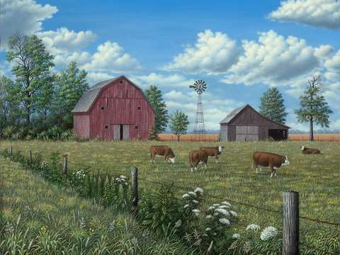 Grazing cattle