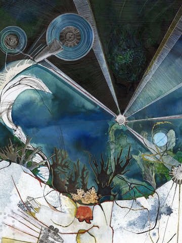 Exploration: Coral