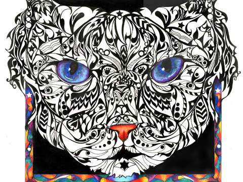 Star cat