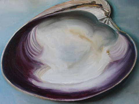 Clam shell 2