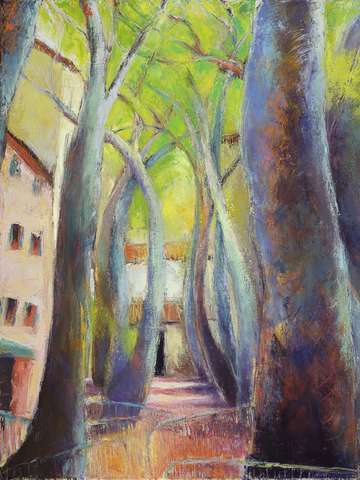 Trees of ceret 3