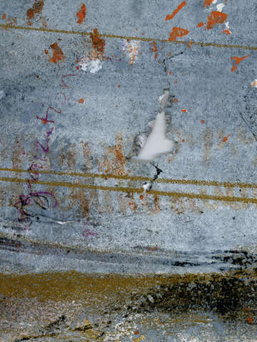 Naturalist grey