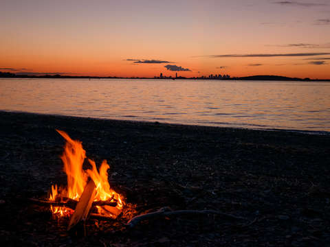 Harbor Camping