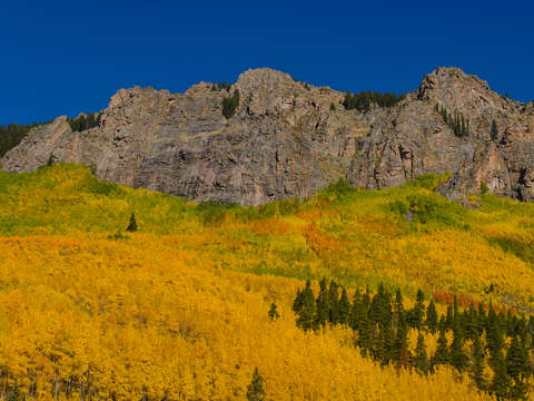 Fall color and rocks