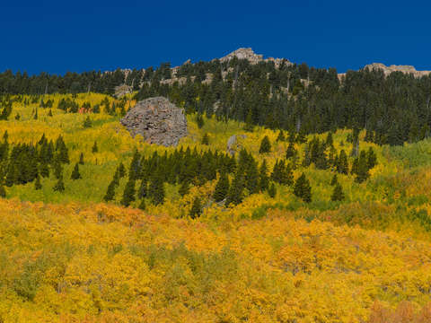 Fall in the rockies