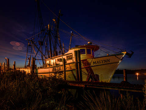 Dawn on the teri malynn