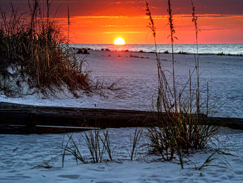 Log on beach sunrise
