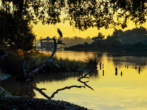 Heron on a stick part 2