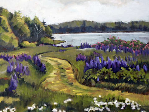 Lupines roses