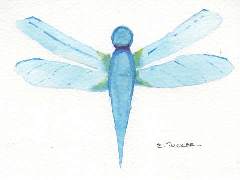 Blue dragonfly