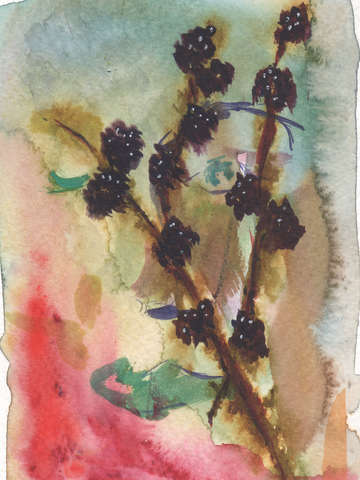 Blackberries 2