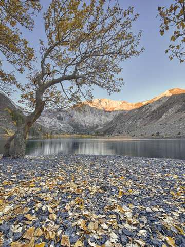 Convict lake sunrise