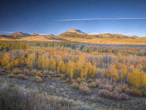 Conway summit fall color