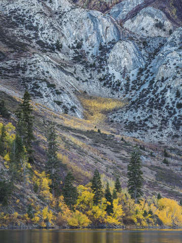 Fall color below the cliffs of laurel mountain