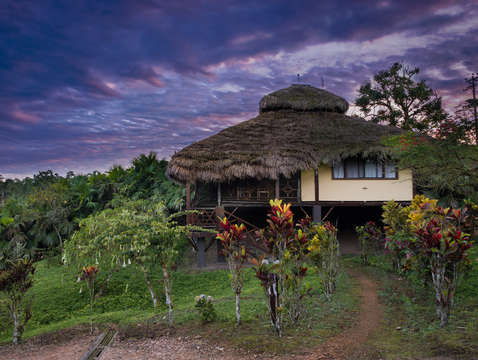 Jungle hut