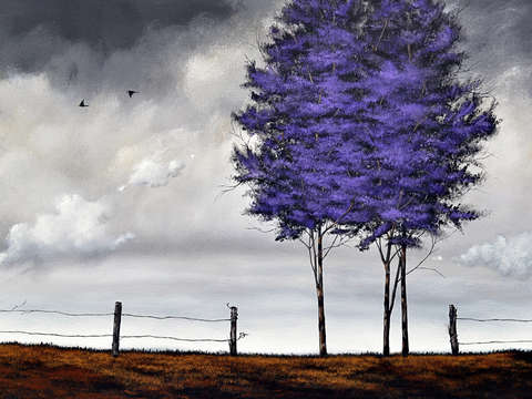 Lavender hill
