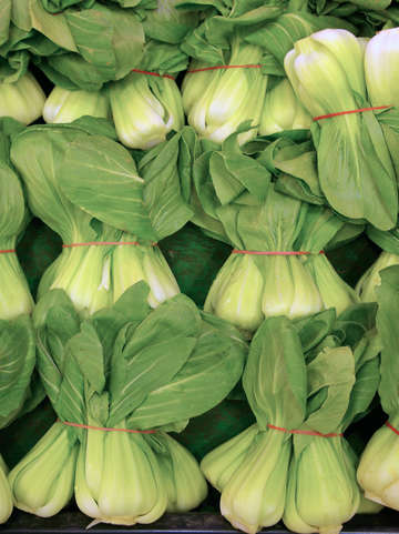 Baby bok choy