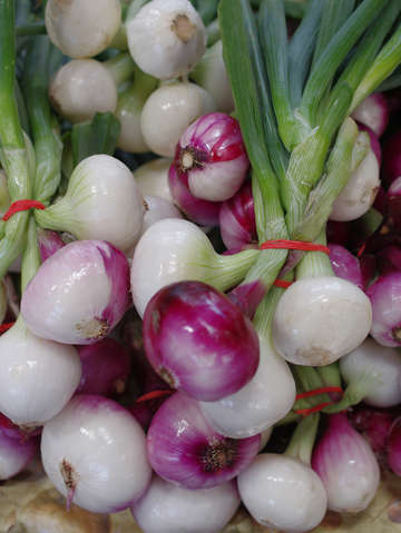Onions