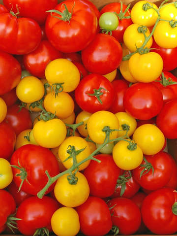 Tomatoes