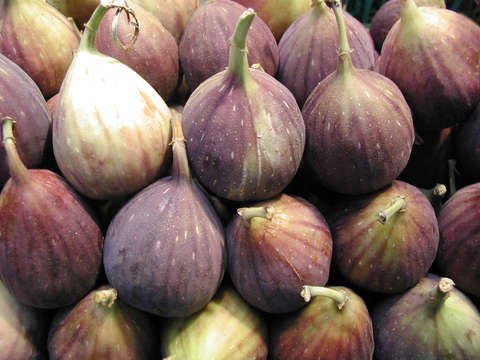 Figs