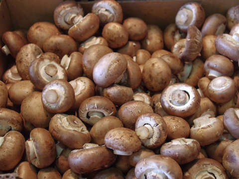 Button mushrooms