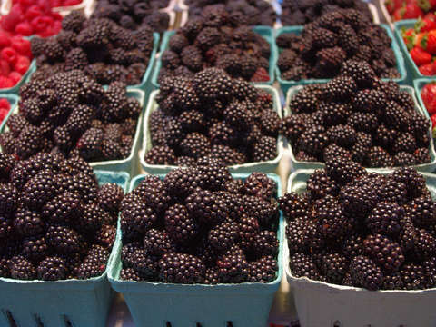 Blackberries