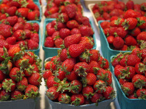 Baskets of Strawberries