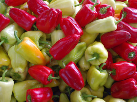 Peppers and more peppers