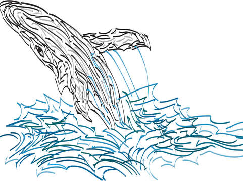 Whale 2