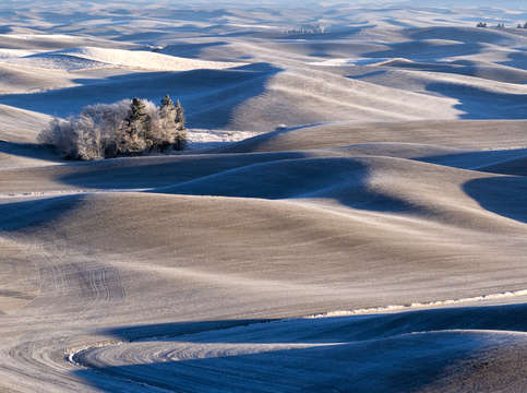 Palouse blue