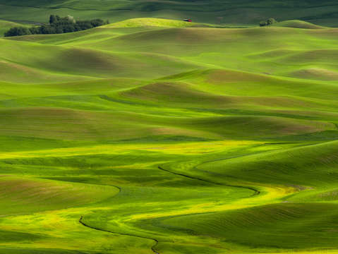 Red barn and rolling hills