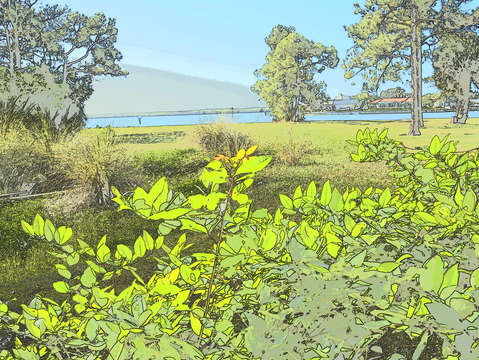 Country scene