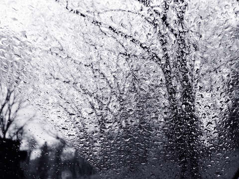 Rainywindshield