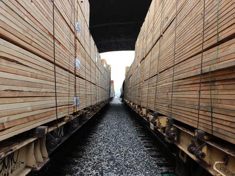 Wood