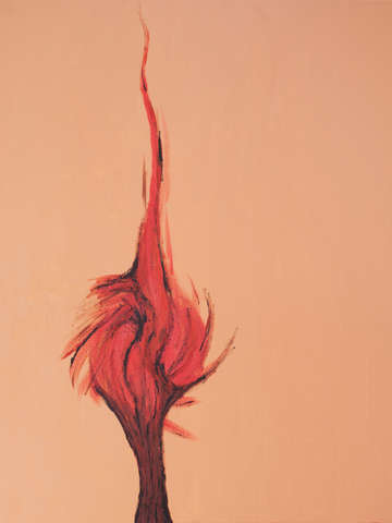 Flaming Tree