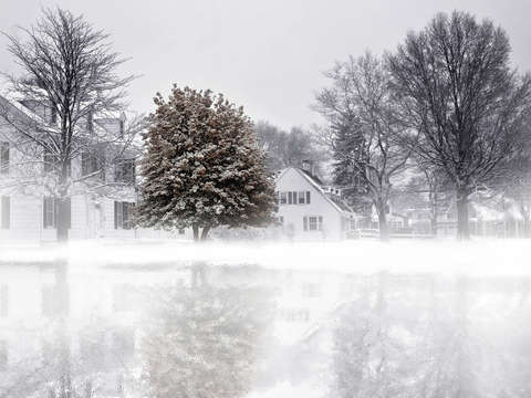 Christmas fog
