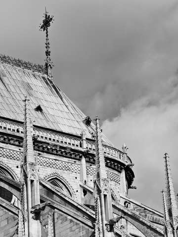 Flying buttresses of notre dame