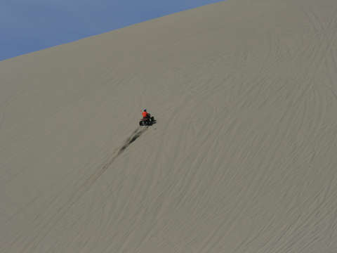 Sand mountain nevada