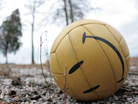 Smiling yellow volleyball