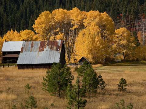 Western ranch