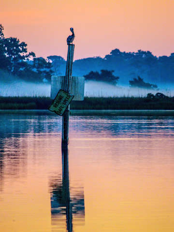Tilting post