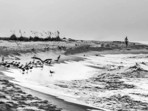 Gray beach