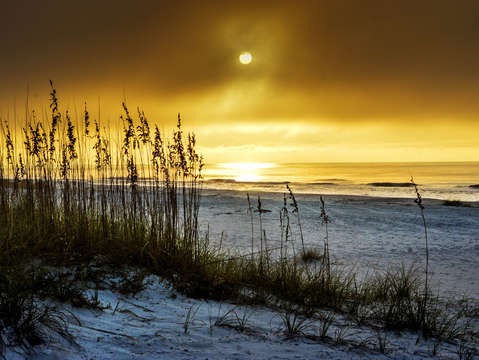 Foggy Sunrise on the Beach
