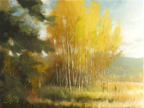 Aspen autumn iv