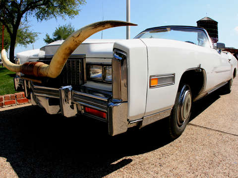 Steer Horns On A Convertible