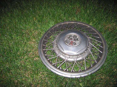 Hubcap in the grass