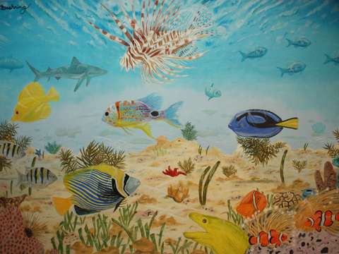 Danger reef